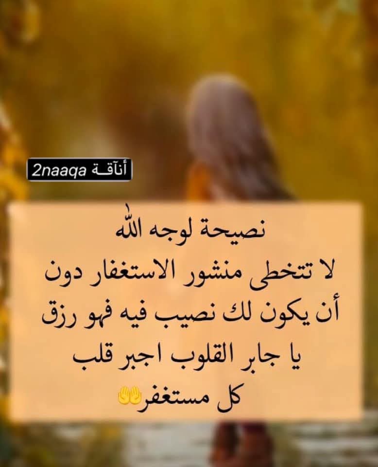 سلمى نور tweet media