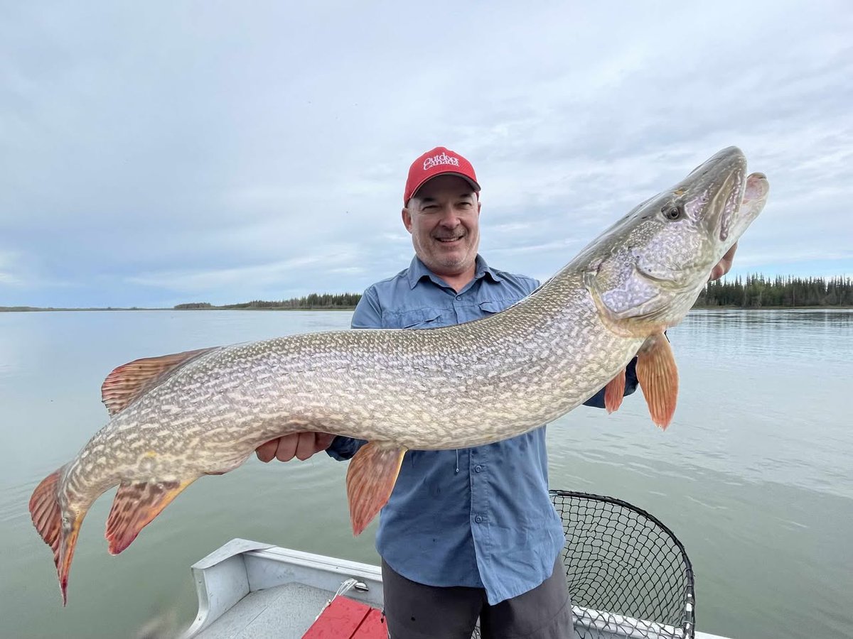 Patrick Walsh tweet media