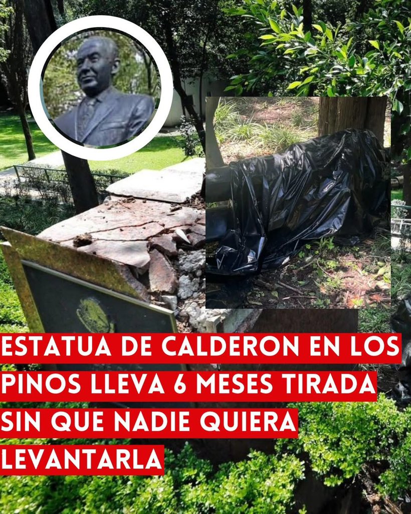 Manuel Pedrero tweet media