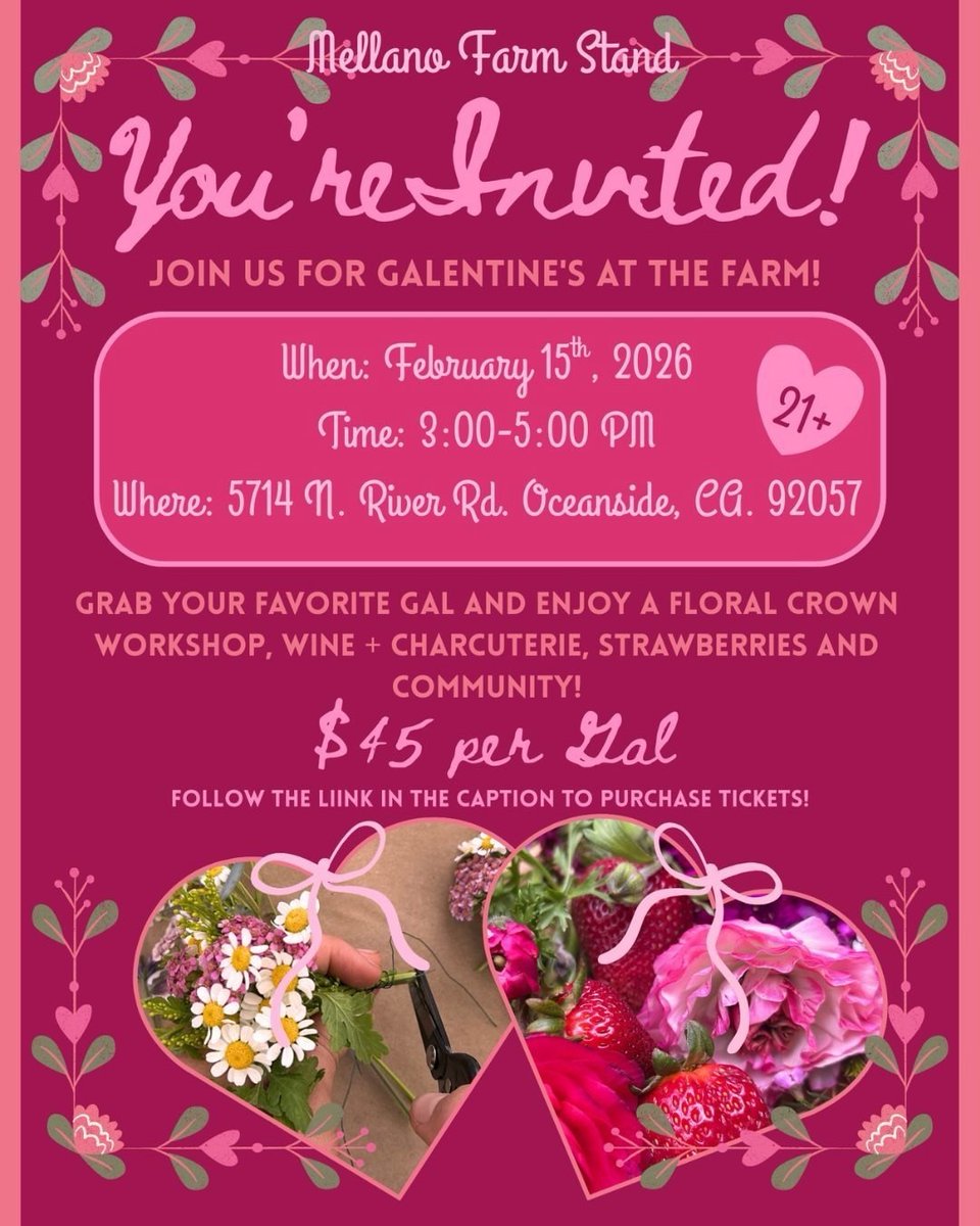 Visit Oceanside tweet media