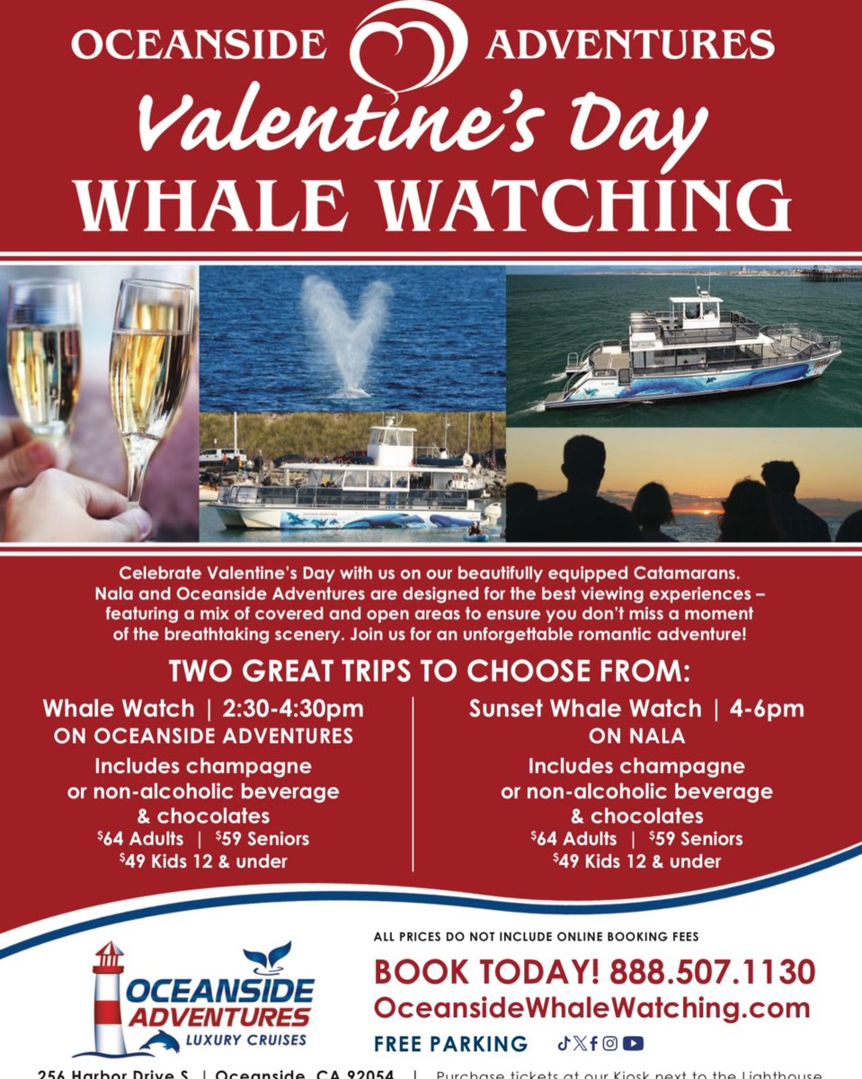 Visit Oceanside tweet media