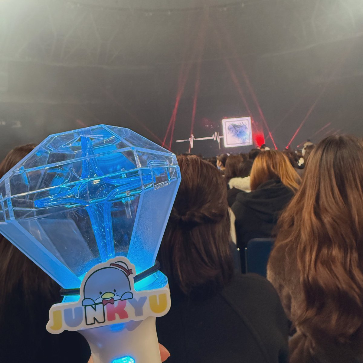 じゅじゅ🐨 tweet media