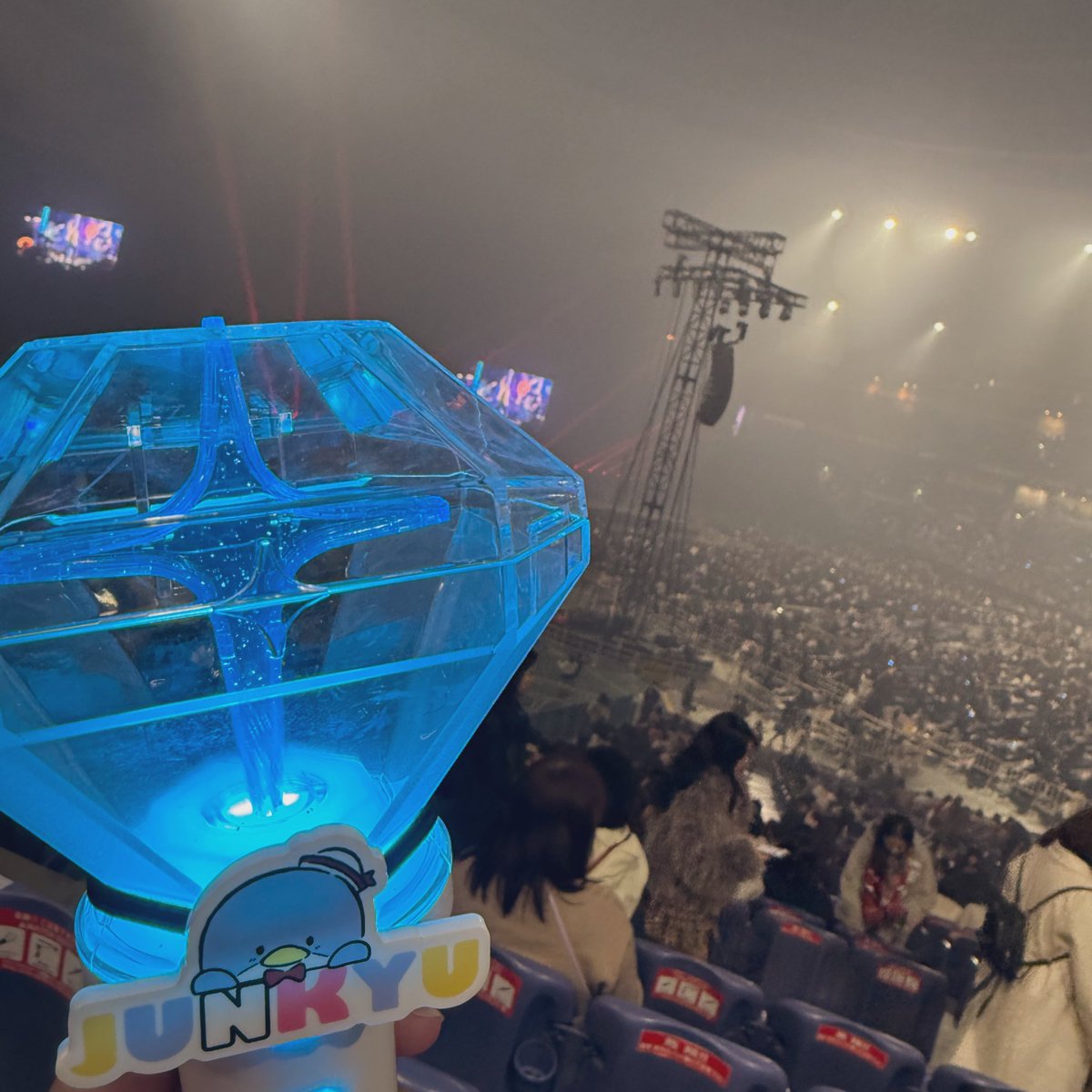 じゅじゅ🐨 tweet media