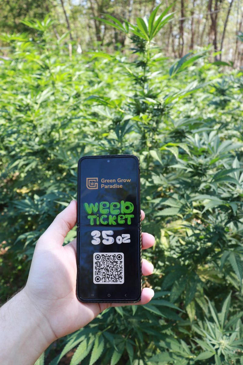 William Wallace tweet media