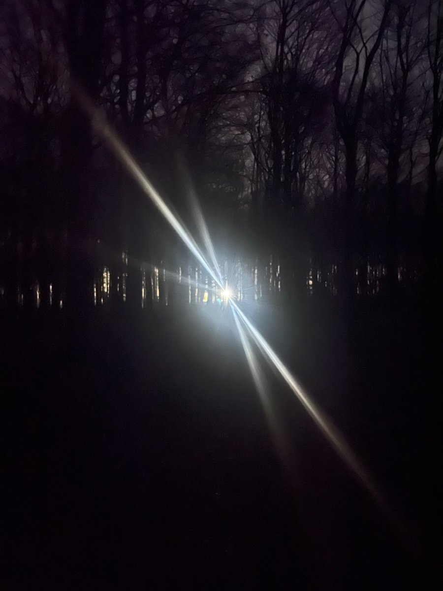 90% sure this was a ufo in the woods just now