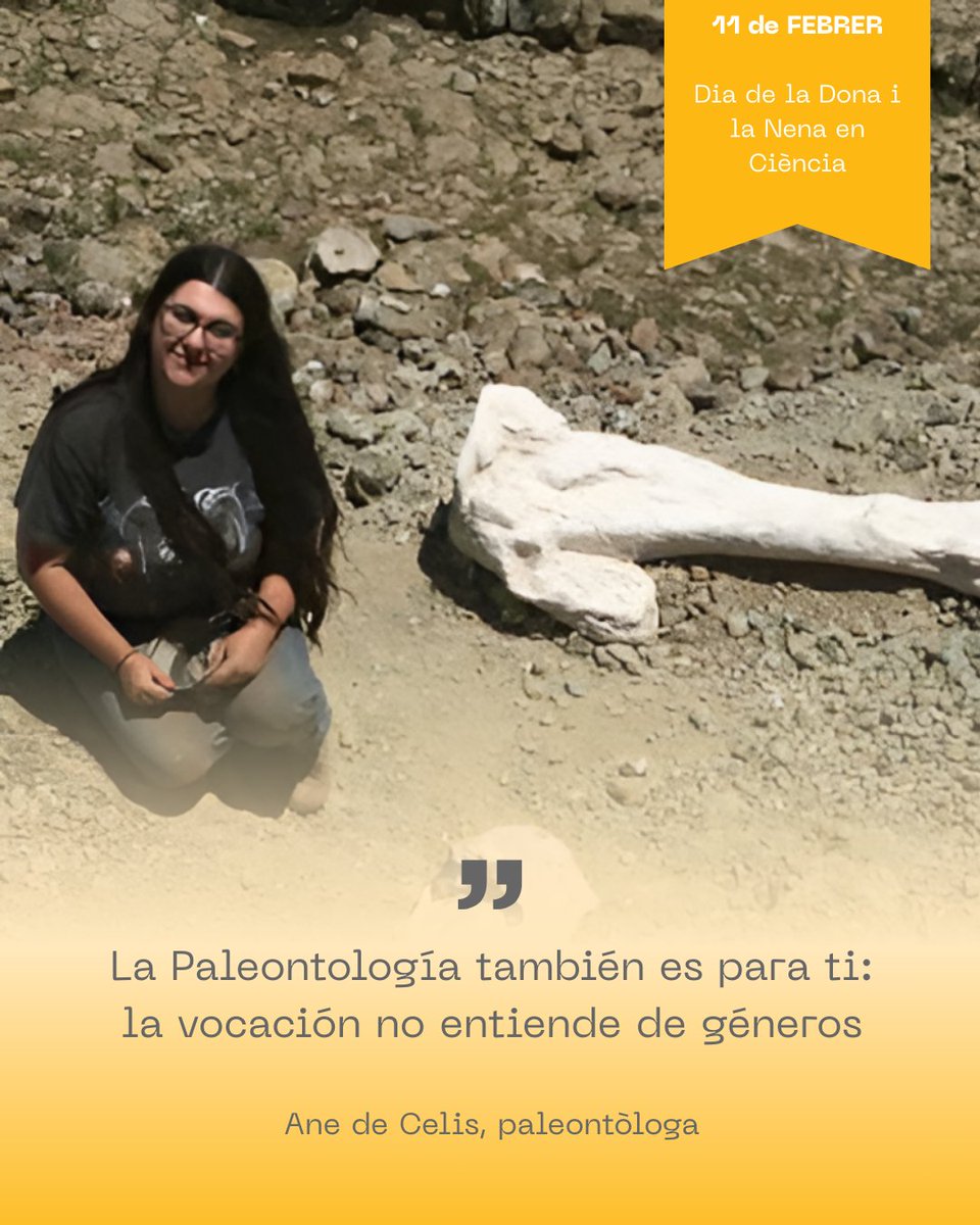 Museu de l'ICP tweet media