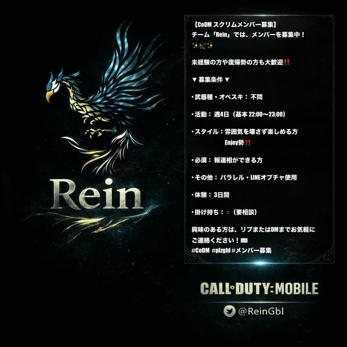 チームRein tweet media