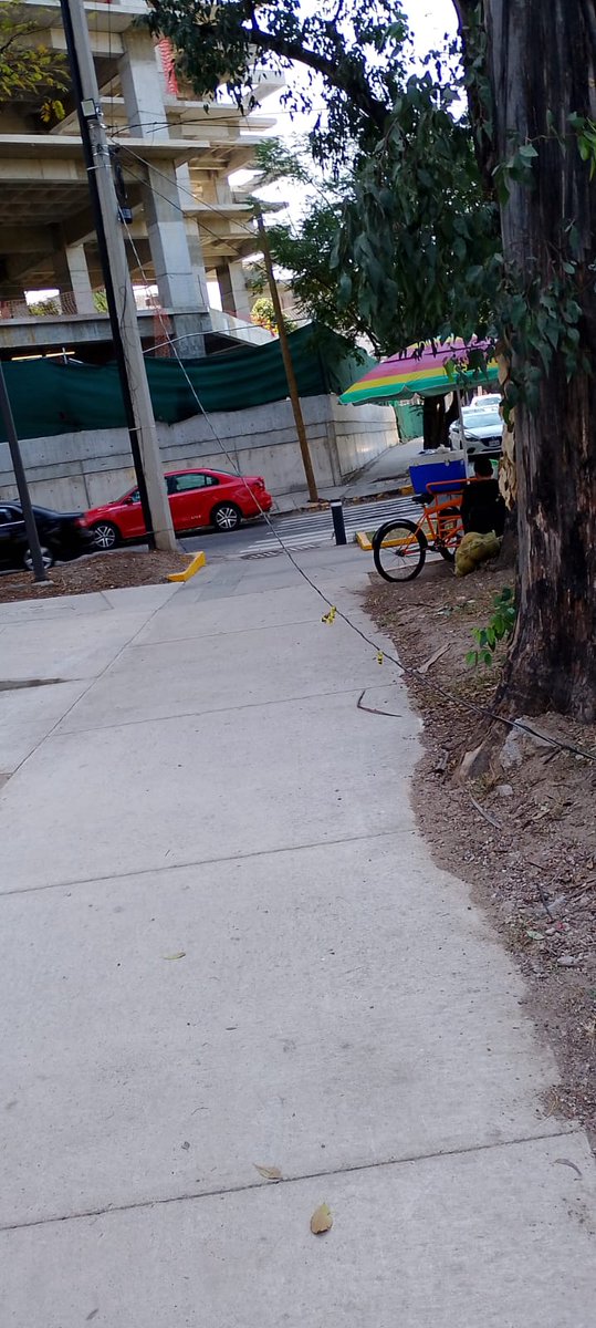 JavyPAGdl's tweet photo. El parque Italia, en Providencia, en abandono por @GuadalajaraGob, tanto que anunciaron su "remodelación", @VeroDelgadilloG. Cable de alumbrado caído desde hace semanas, el contenedor de basura a reventar, la gente en esta zona es 🐷, agregando la falta de recolección... Pues🙄 https://t.co/7kEoLmYHLn