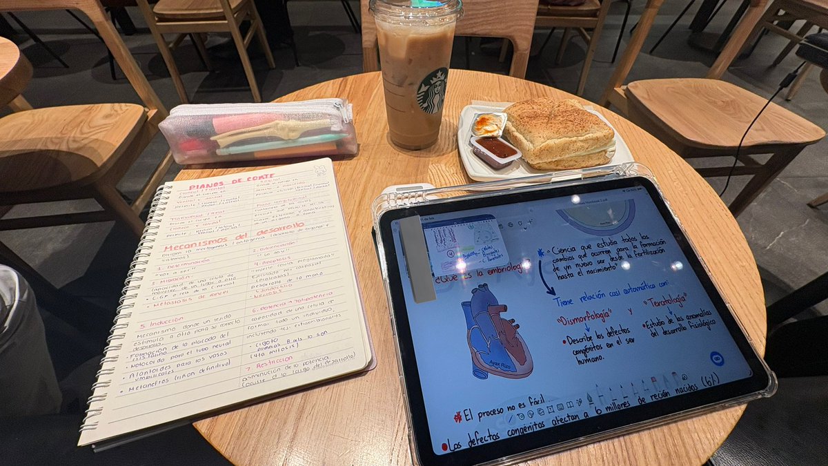 studying after gym and before work bc i rlly need to focus on my goals and dreams