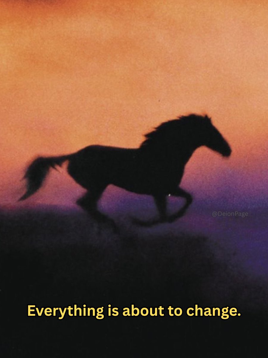 Deion 𓋹 (@calmdeion) on Twitter photo 