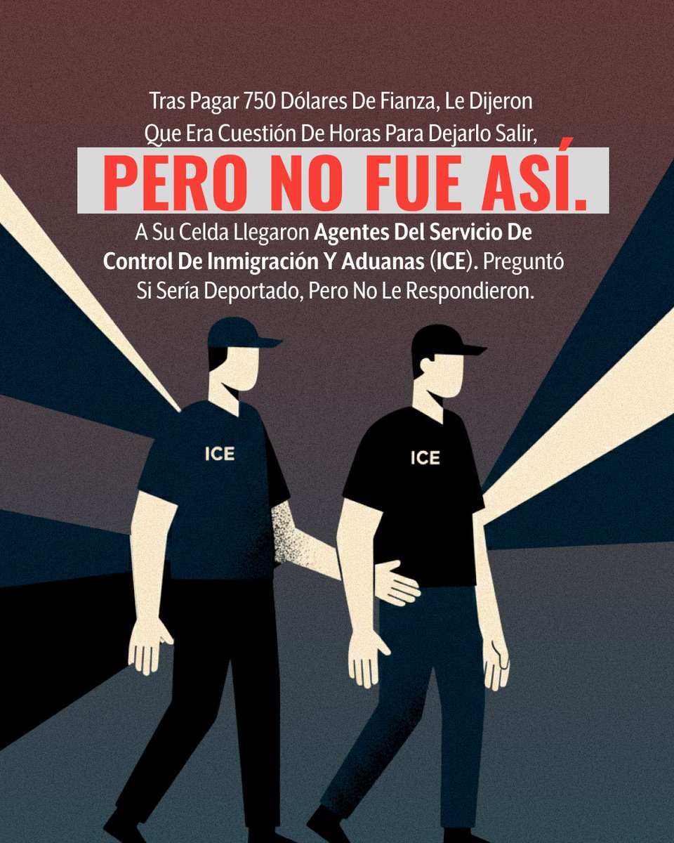 Animal Político tweet media