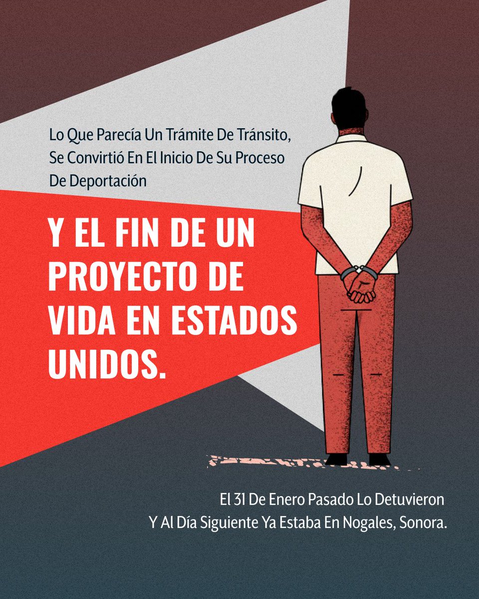 Animal Político tweet media