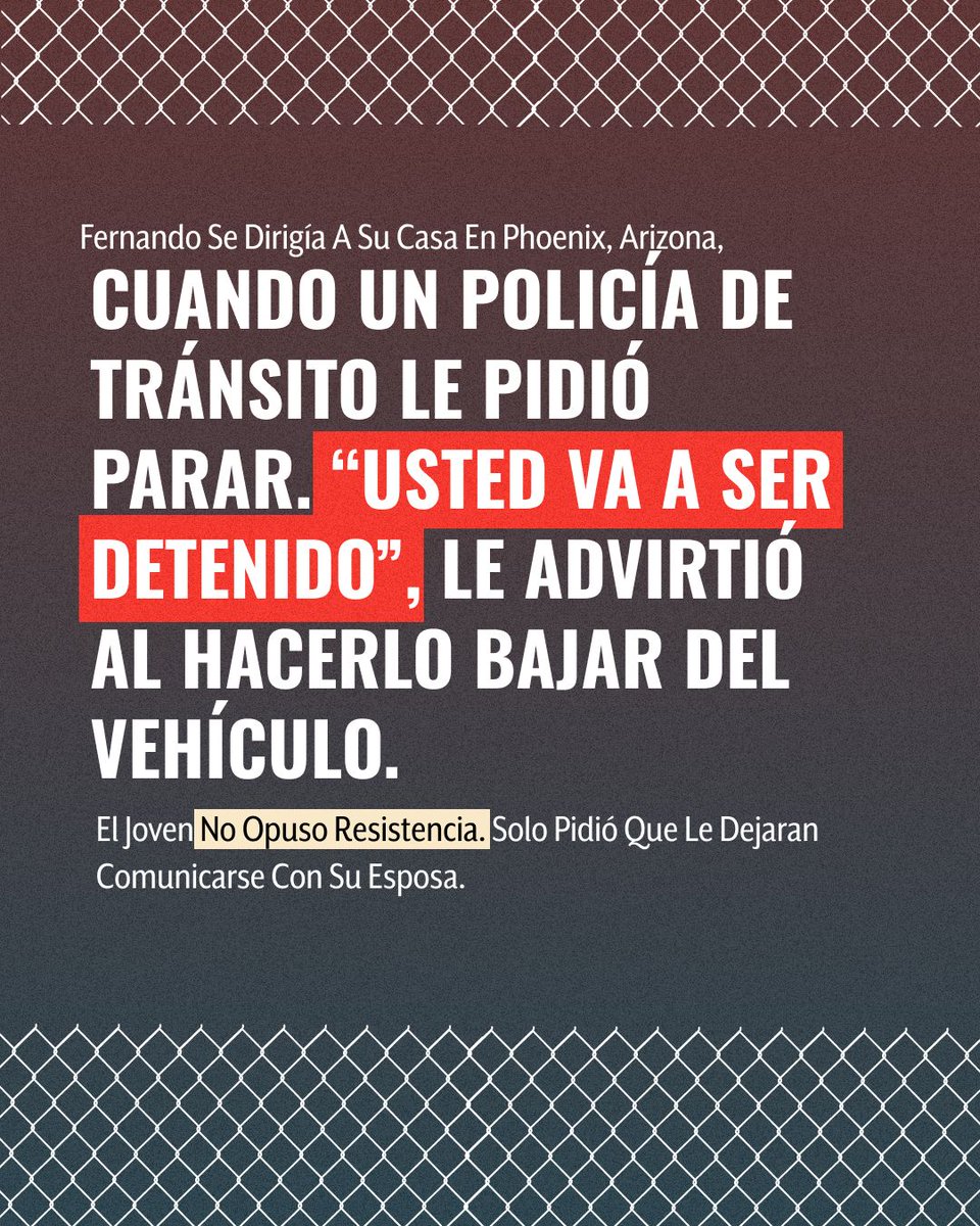 Animal Político tweet media