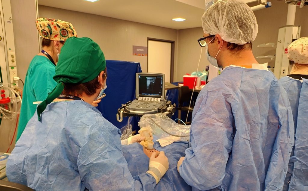 🧑‍⚕️ Primera ablación por microondas de tiroides en un hospital público de #Córdoba. 

🏥 El Hospital San Roque realizó, por primera vez en el sistema público provincial, una ablación por microondas (MWA, microwave ablation) para el tratamiento de un nódulo tiroideo benigno.

🙌 Se