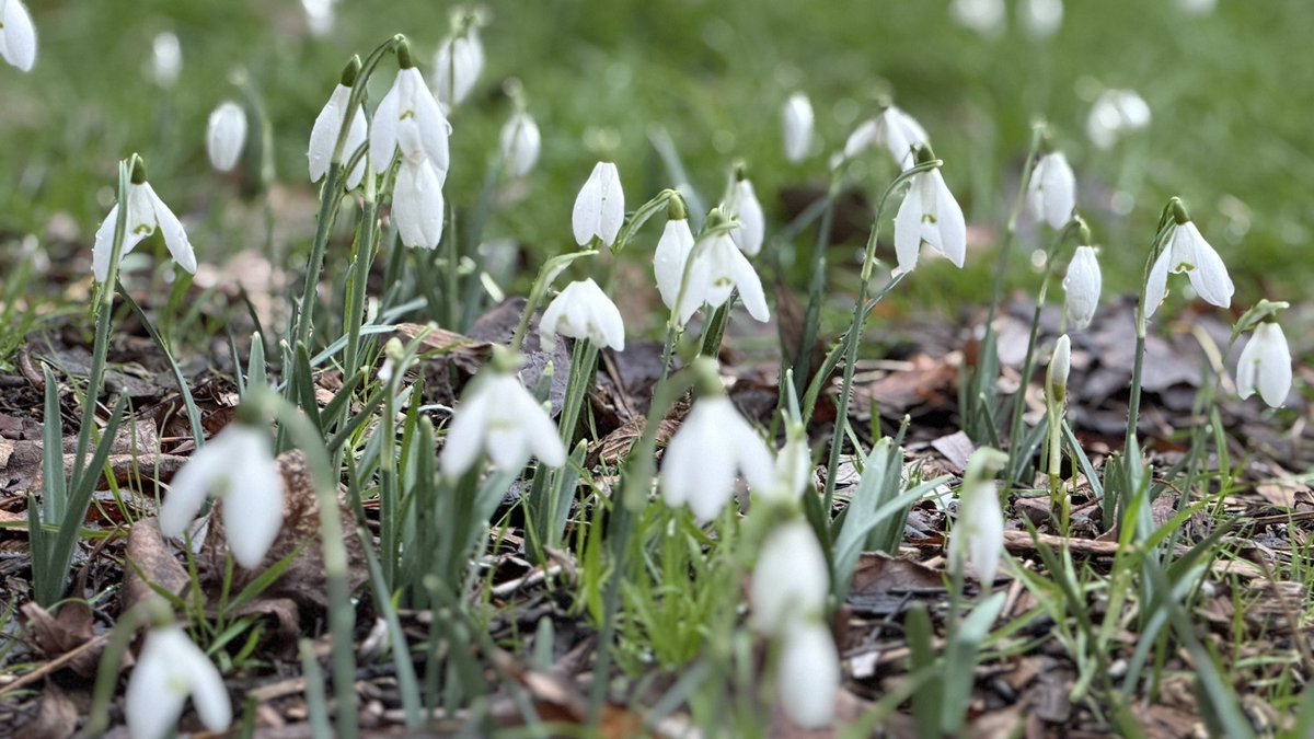 Amanda Boardman tweet media