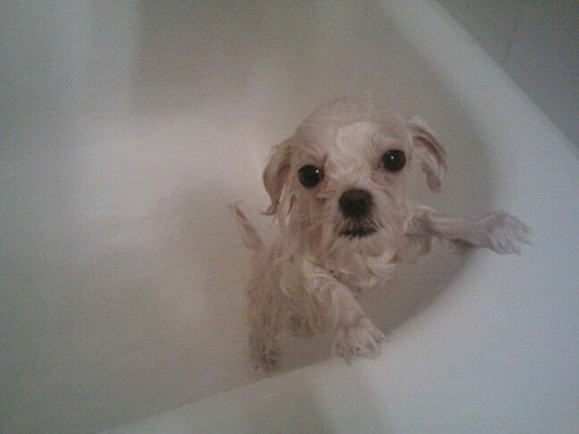 꼴사나와지고있어처자야겠다