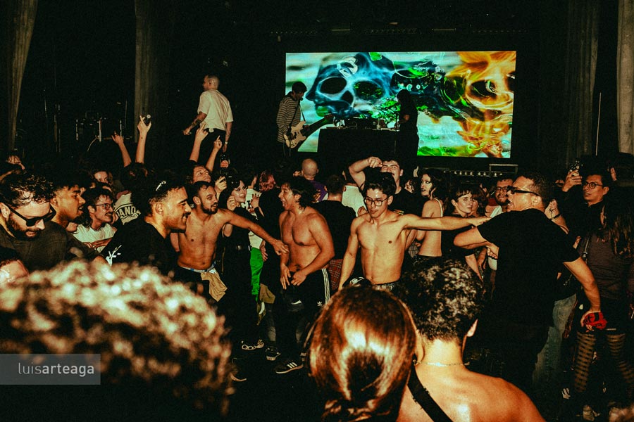 Everlong Magazine tweet media