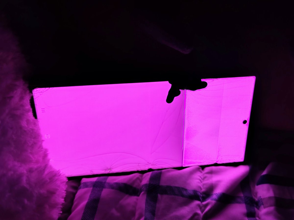 devourdflesh's tweet image. dead pixels oscillating my brain
The cicadas taking up space with their shrill chirps
Hate to say I told you so after dark