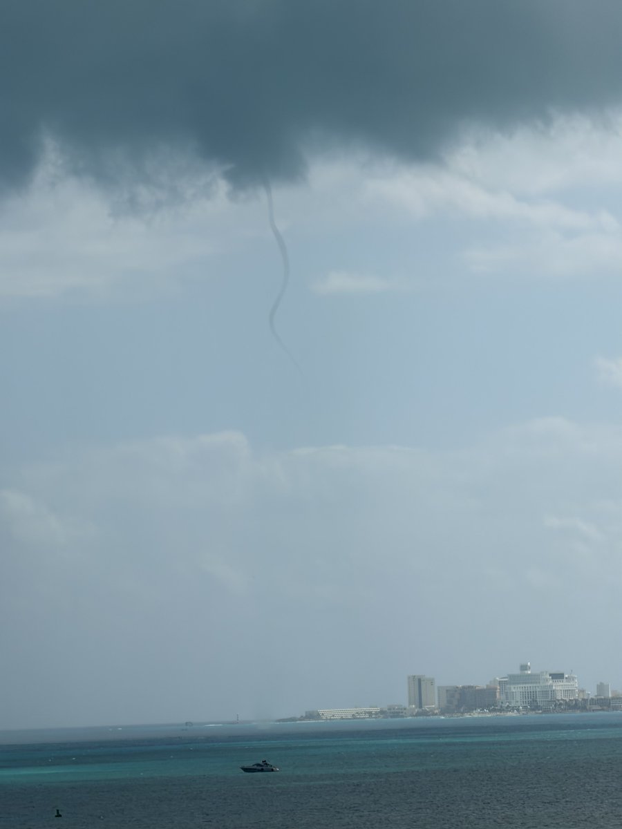 Tayhausen: Very Bald, Very Evil tweet media