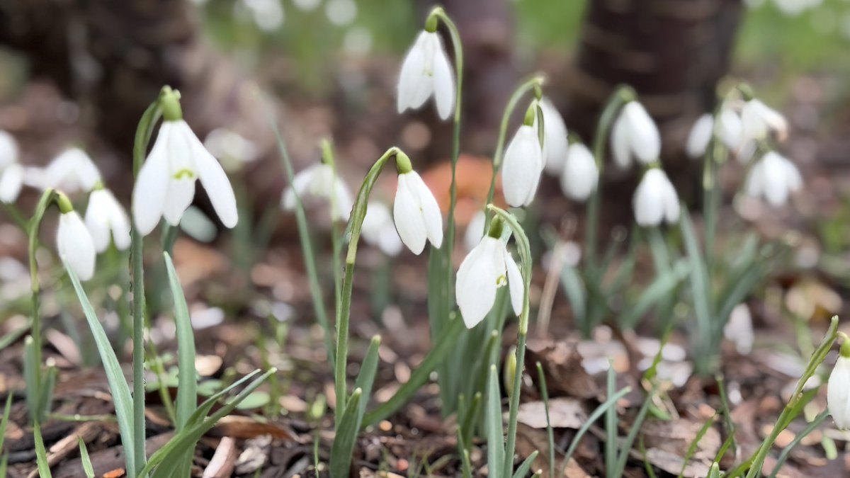 Amanda Boardman tweet media