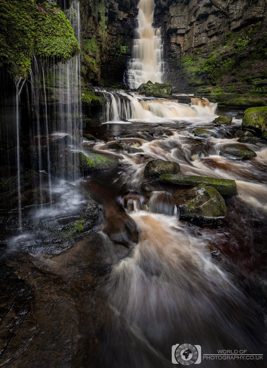 World Of Photography tweet media