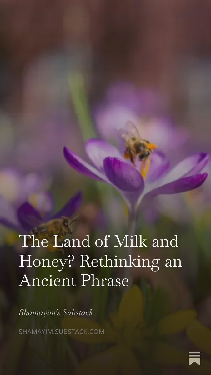 Shamayim: Jewish Animal Advocacy tweet media