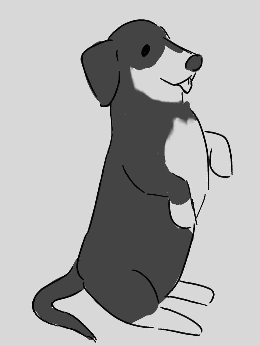 wiredprayers's tweet image. Why is it doing   that