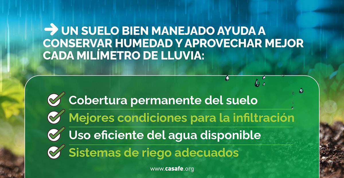 CasafeOk's tweet photo. ☀️ Durante el verano el agua puede escasear y el suelo cumple un rol central a la hora de conservarla.

💧🌱 Un manejo que priorice su cuidado permite aprovechar mejor el agua disponible y reducir el impacto sobre los cultivos. https://t.co/du79Eni6TE