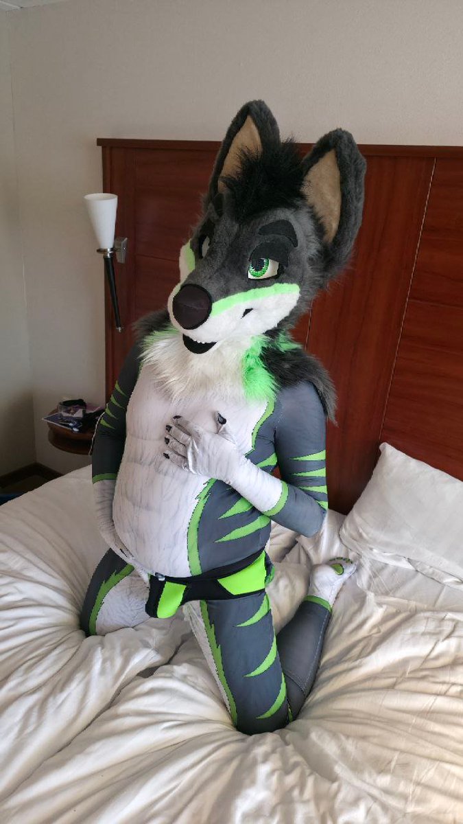 Rayzar Wolf Spicy ed. 🔜 2Dance🔜EF2026 tweet media