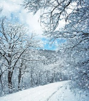 Gen 1:1 – In the beginning God created the heavens and the earth.    

The Father created all through his Son, the Word, our Lord Jesus Christ (John 1:3).  

#UnpackingGenesis #JesustheCreator