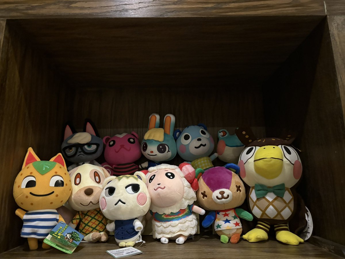 Gabriel ✨🏝️ tweet media