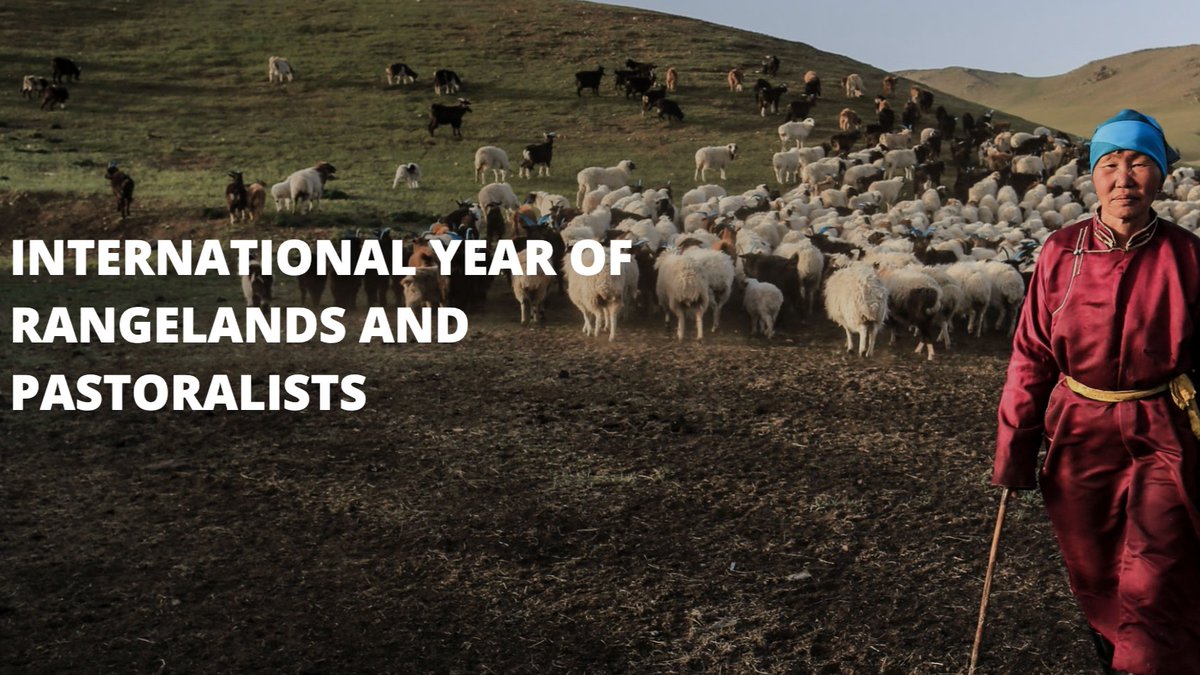 Experience Wool tweet media