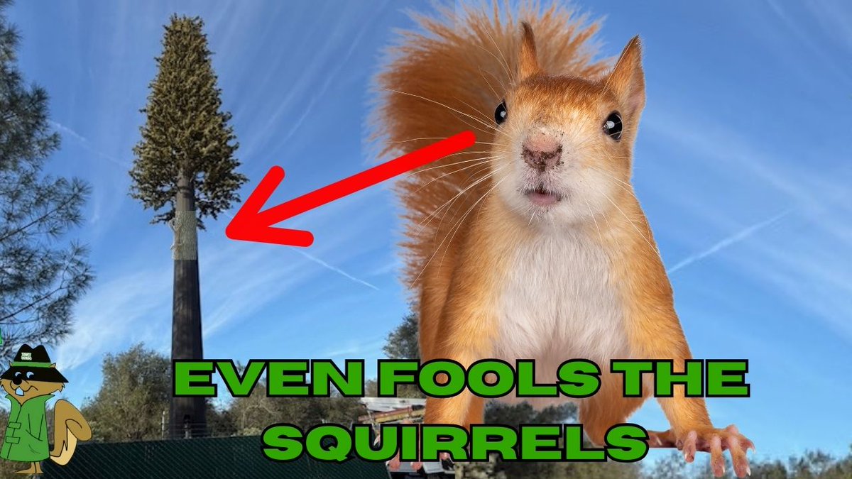 Tower Genius tweet media