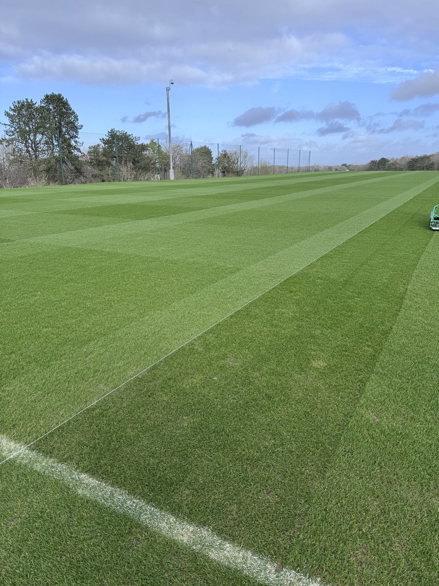 Chris Fox tweet media