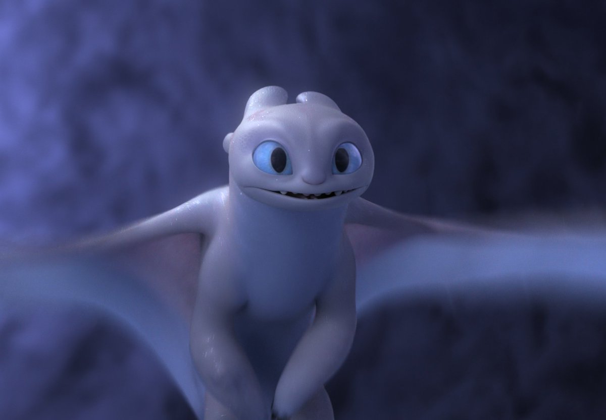 ᯓ★ DAILY LIGHT FURY 🤍 tweet media