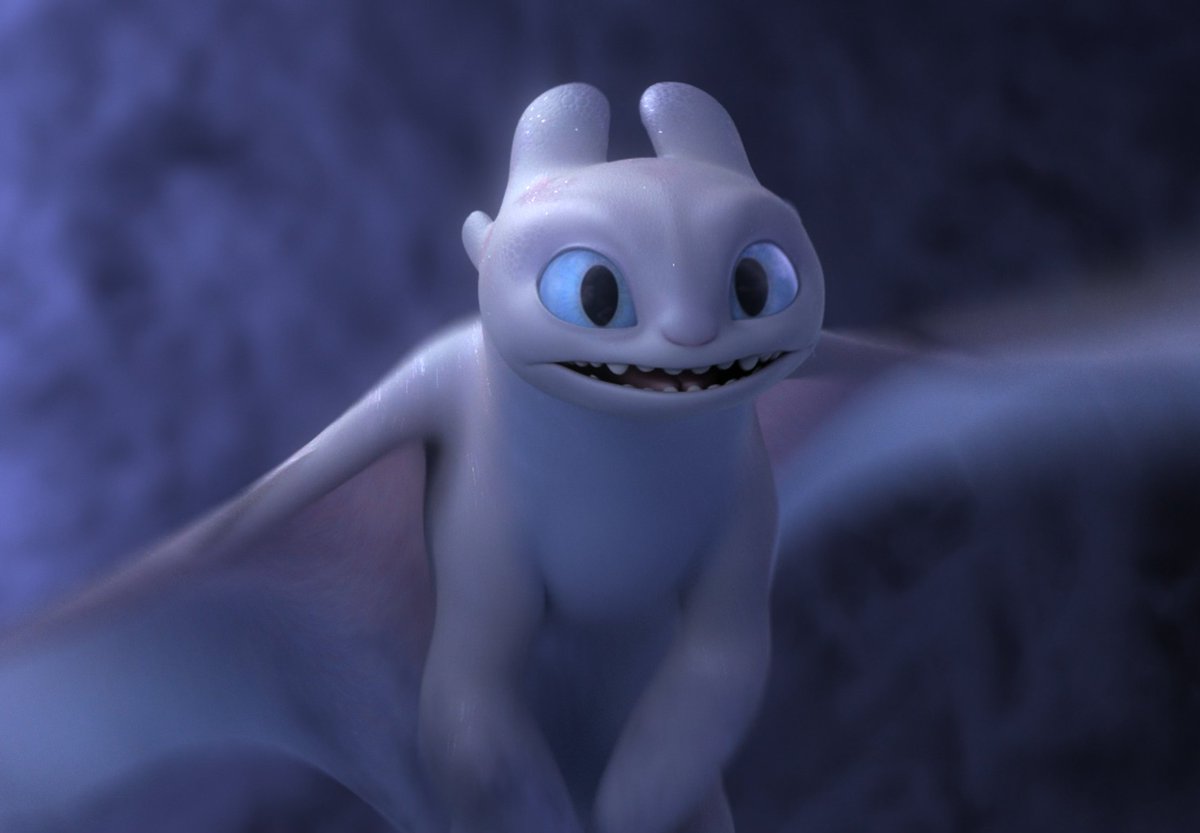 ᯓ★ DAILY LIGHT FURY 🤍 tweet media