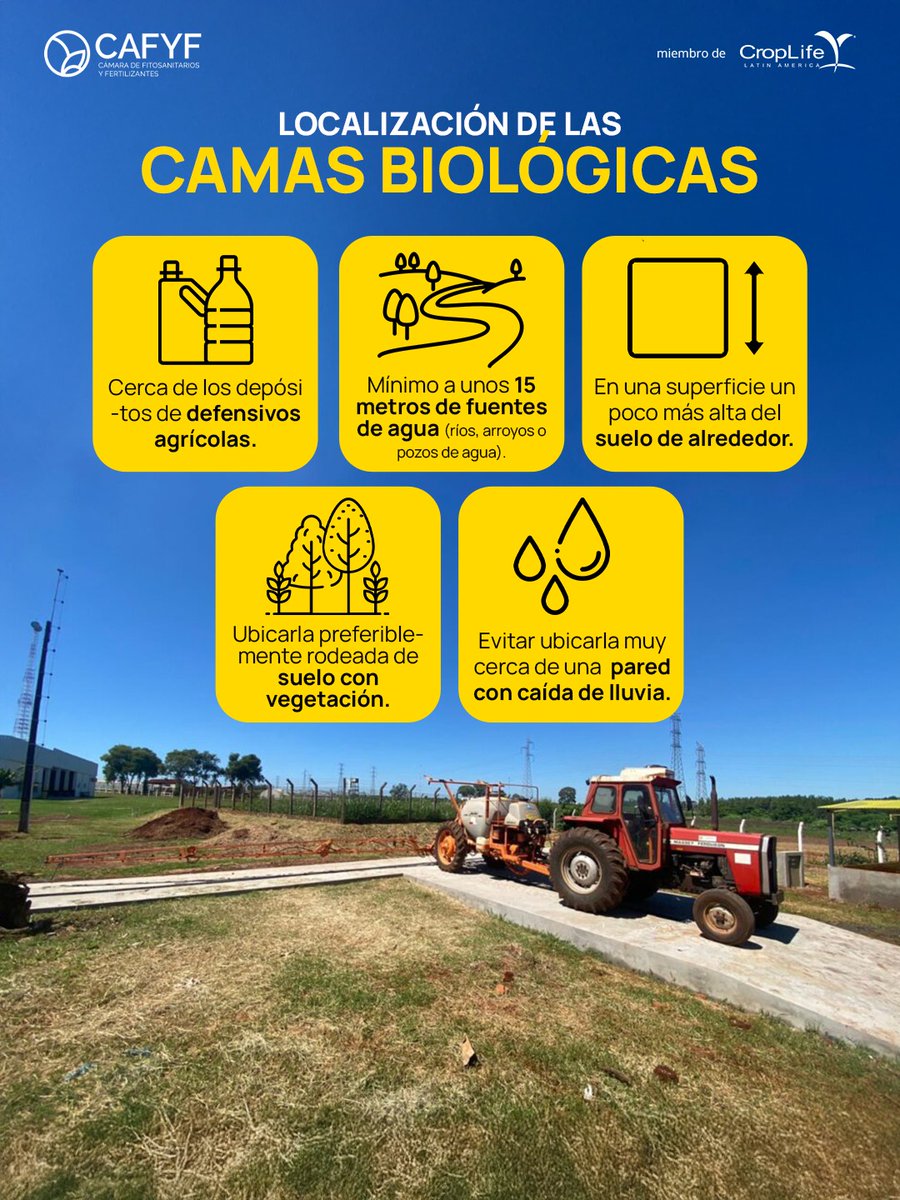 CAFYFpy's tweet photo. Localización de las camas biológicas: 

✅ Cerca de los depósitos de defensivos agrícolas. 
✅ Mínimo a unos 15 metros de fuentes de agua (ríos, arroyos o pozos de agua).  

📲 Si queres conocer más contactá al equipo técnico de Cafyf a través de nuestros medios oficiales. https://t.co/M3DdSD58gq