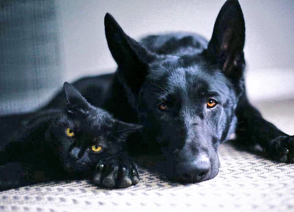 Sólo hay una cosa más valiosa que nuestro tiempo y es con quién lo compartimos.