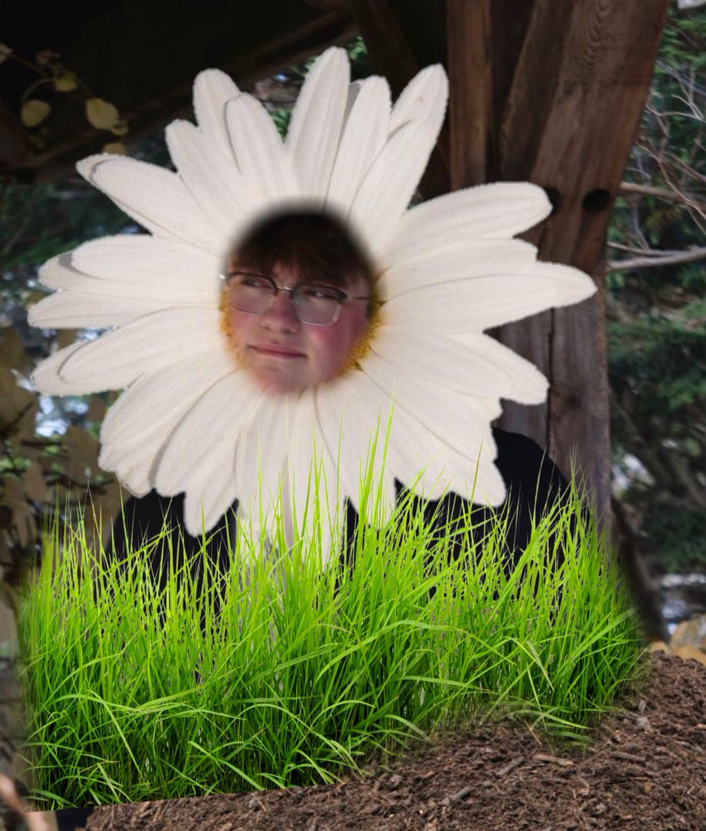 The Maine Steiners tweet media