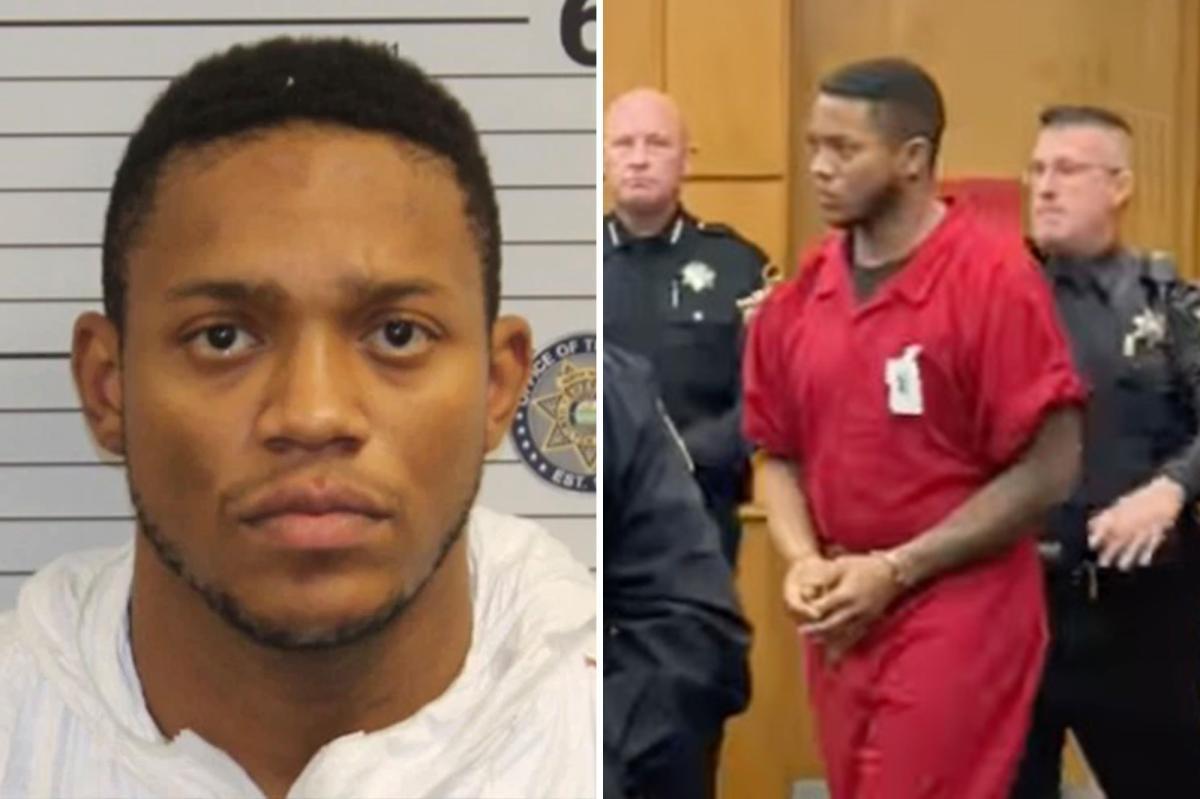 Ex-Jets first rounder could face death penalty grisly new details revealed  about girlfriend's murder https://t.co/6UkdI9eEIm