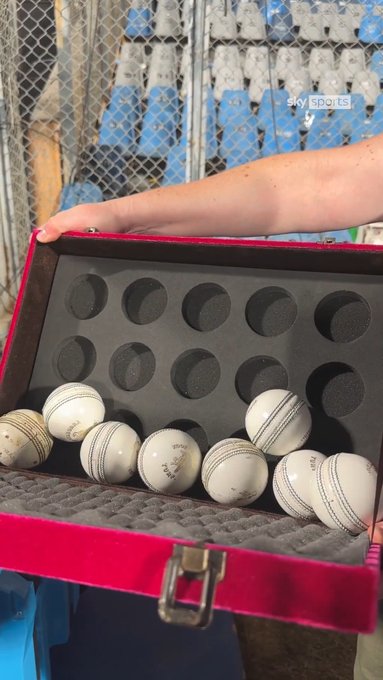Cricket ASMR 🔊
