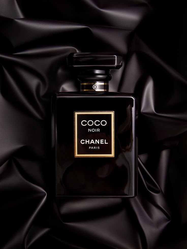 Wilder Steele || Parody tweet media