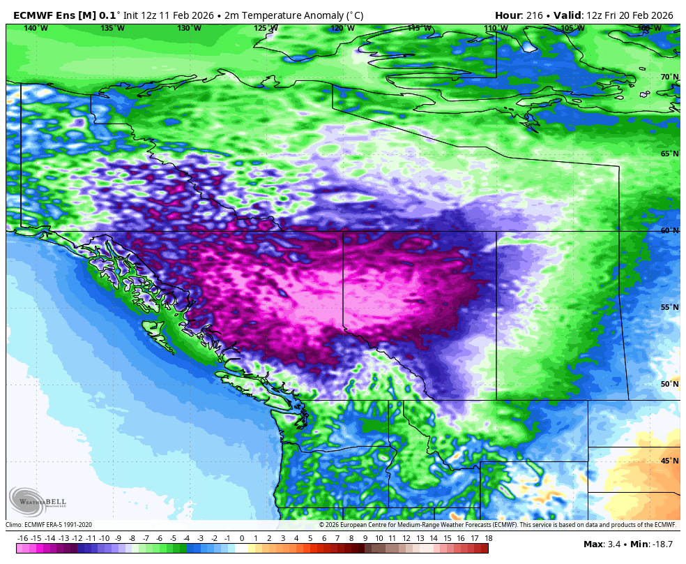 Vlad Raducu🇨🇦 tweet media
