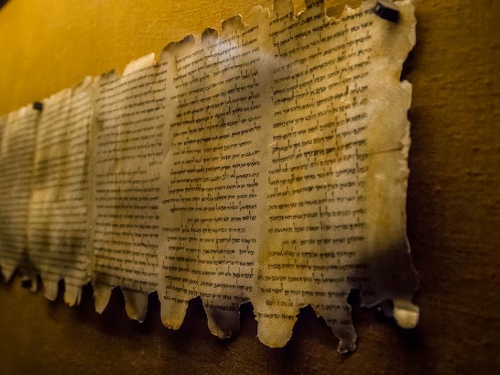 The Bible and Interpretation tweet media