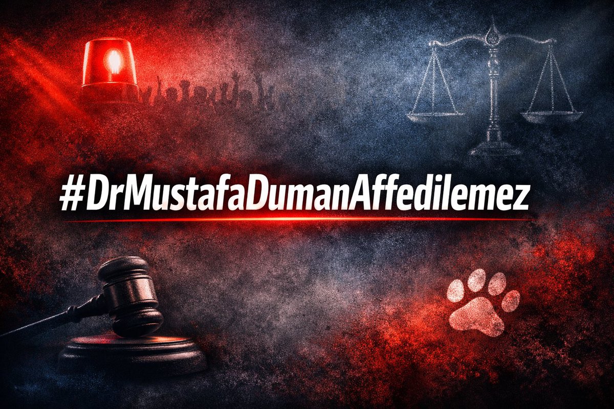 Samet Zeybek tweet media