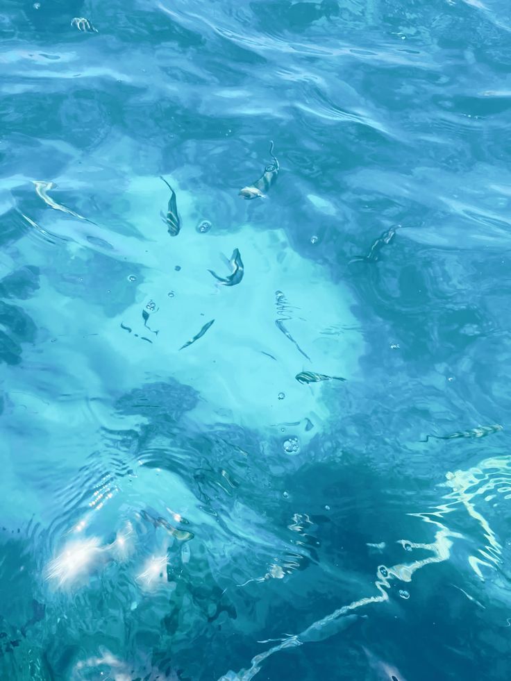 naturaholic's tweet image. serenity in blue