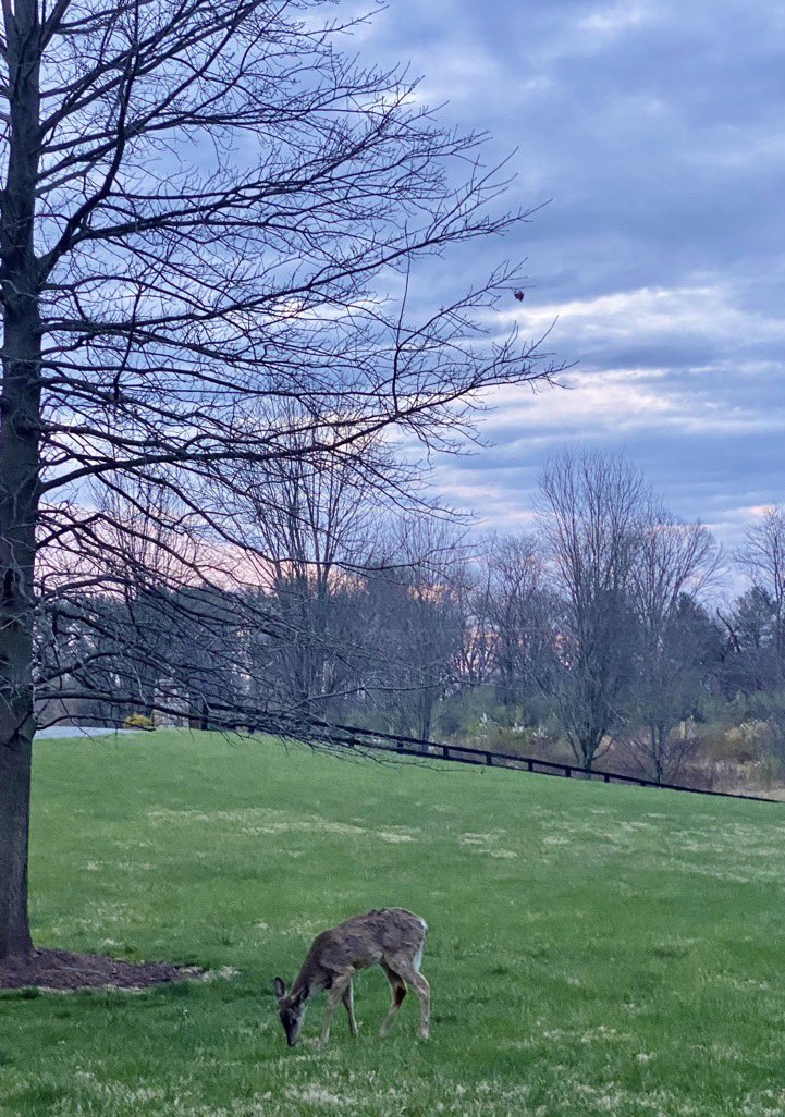 Hi folks I’m still around just haven’t felt good lately. I hope that everyone is doing ok