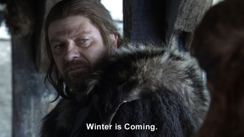 Vlad Raducu🇨🇦 tweet media