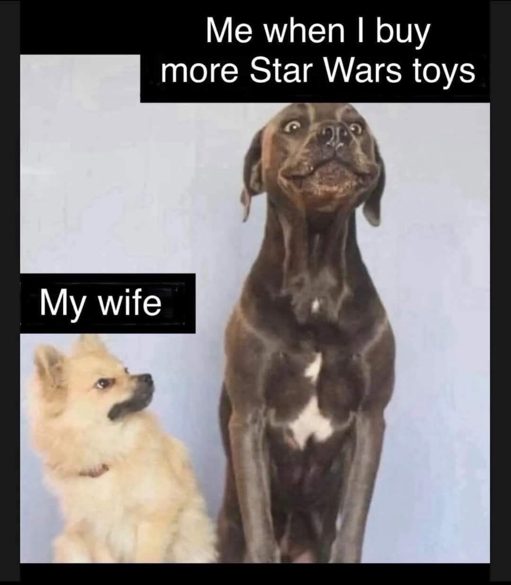 I know that look. 👀