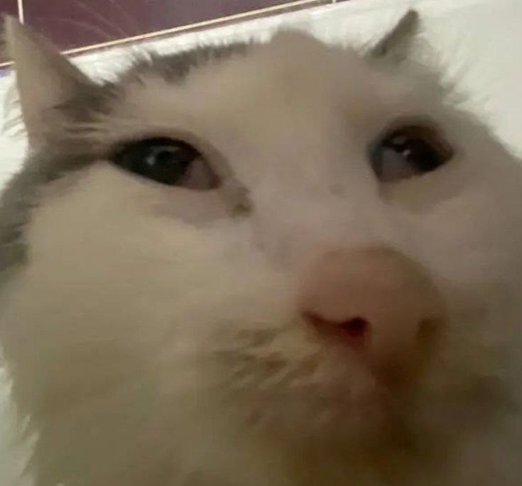 vx-underground tweet media